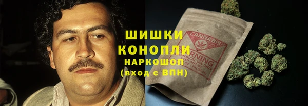 амф Арсеньев