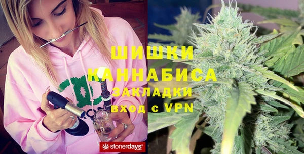 индика Аркадак