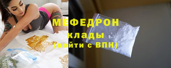 индика Аркадак