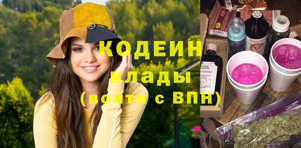 индика Аркадак