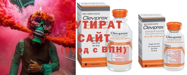 индика Аркадак