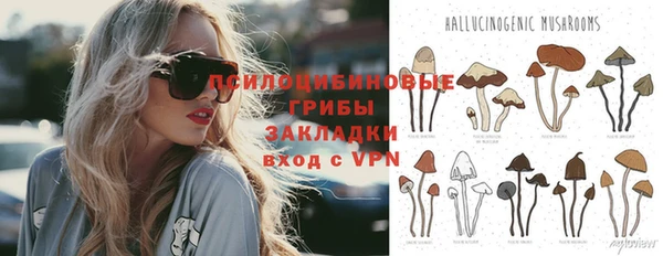 индика Аркадак