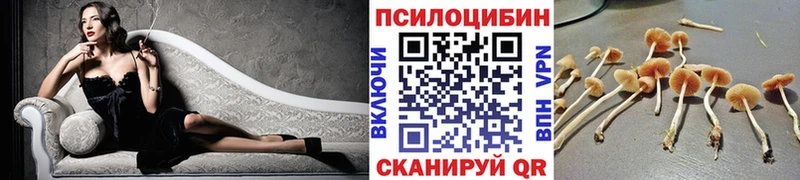 кракен маркетплейс  Злынка  Галлюциногенные грибы мухоморы 