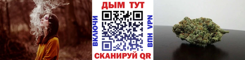 Марихуана конопля  как найти наркотики  Злынка 